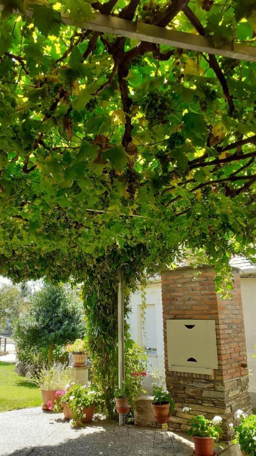 El Maragato Villa Castrillo de Cepeda Exterior foto